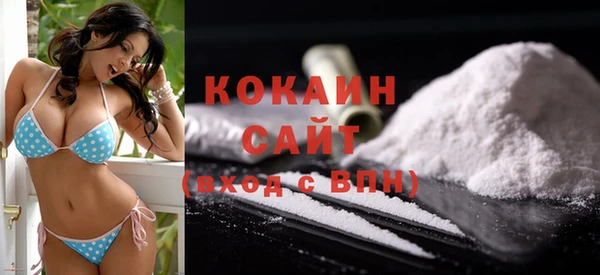ешки Осинники