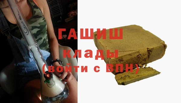 индика Володарск