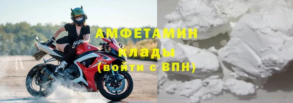 прущие грибы Волоколамск