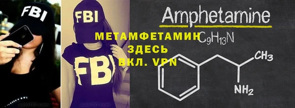 прущие грибы Волоколамск