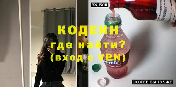 индика Володарск