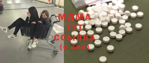 прущие грибы Волоколамск