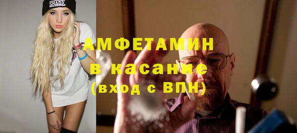 индика Володарск