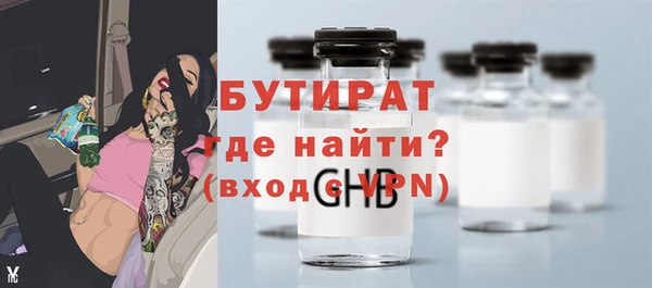 индика Володарск