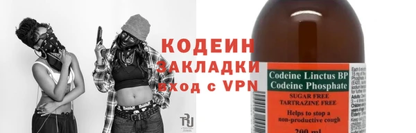 прущие грибы Волоколамск
