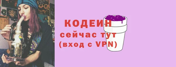 индика Володарск