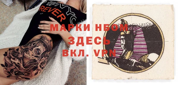прущие грибы Волоколамск