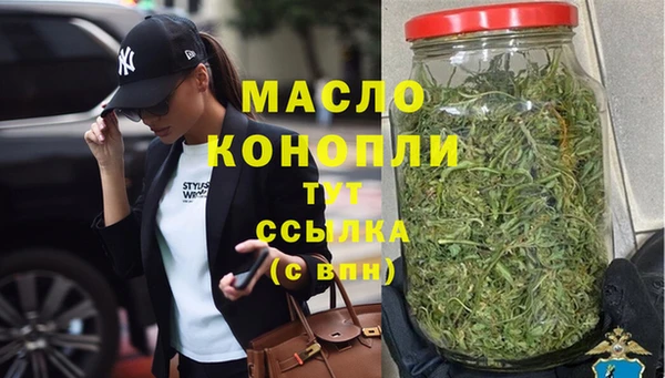 индика Володарск