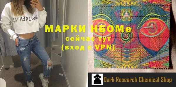 индика Володарск
