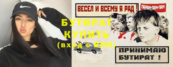 индика Володарск
