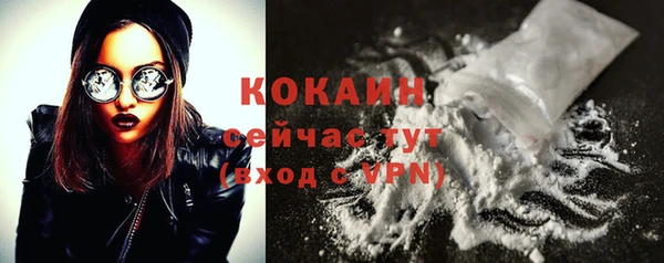индика Володарск