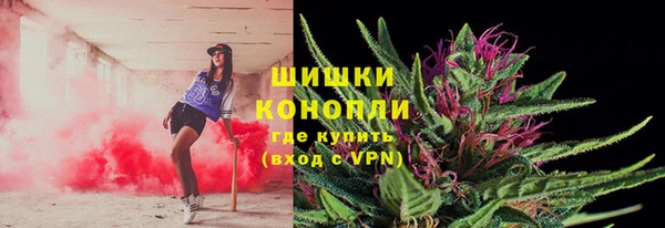 прущие грибы Волоколамск