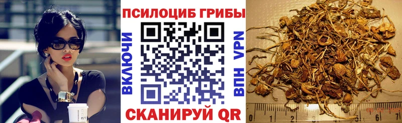 Псилоцибиновые грибы GOLDEN TEACHER  Самара 